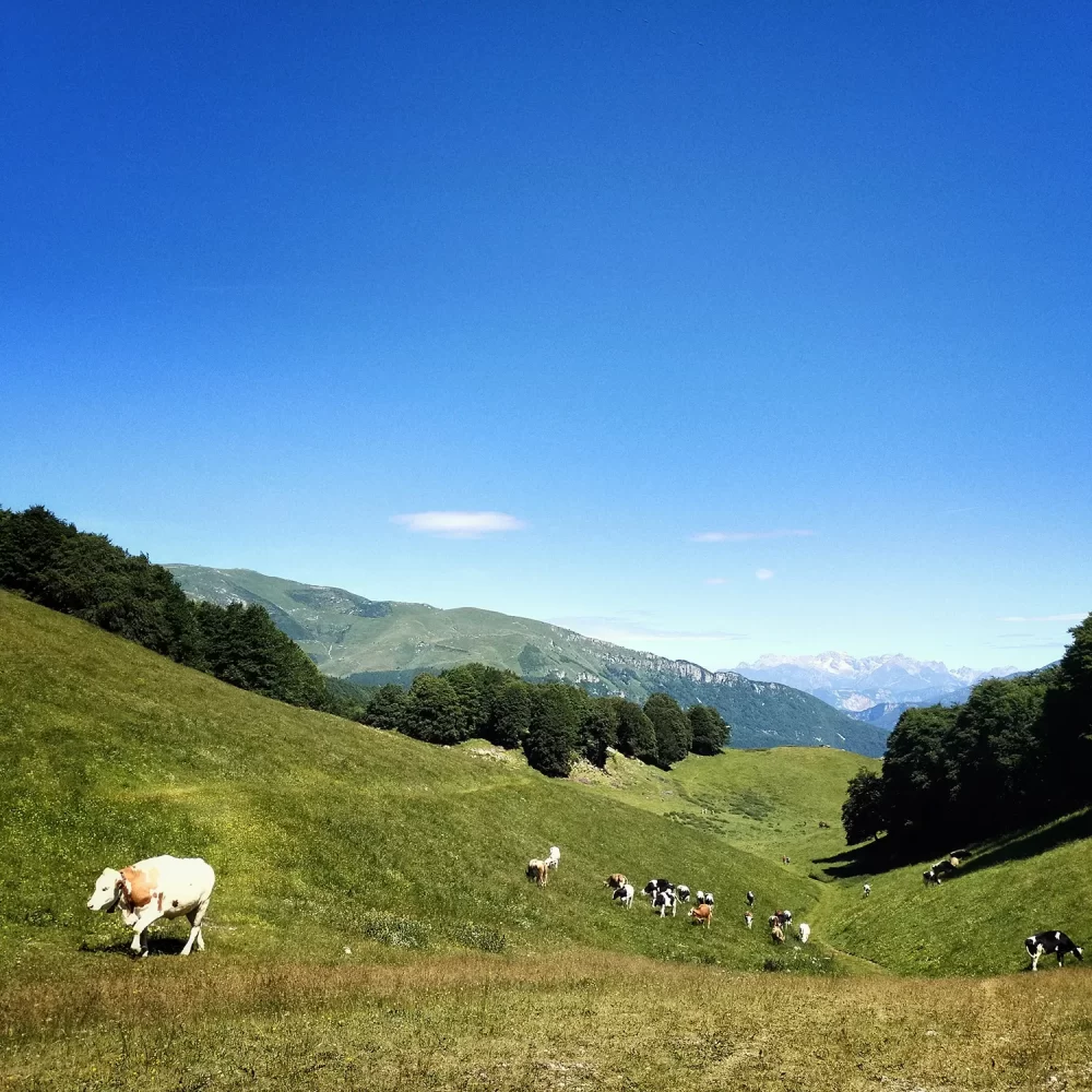 Bikepacking sul Monte Baldo