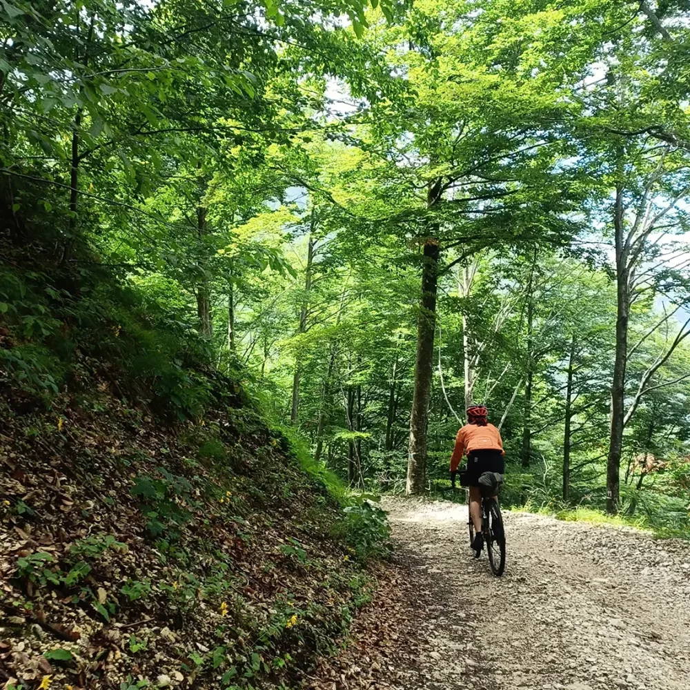 Bikepacking sul Monte Baldo