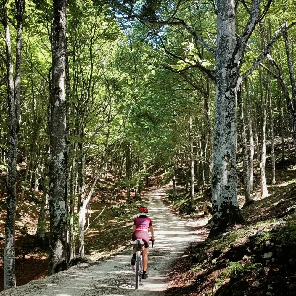 Bikepacking sul Monte Baldo