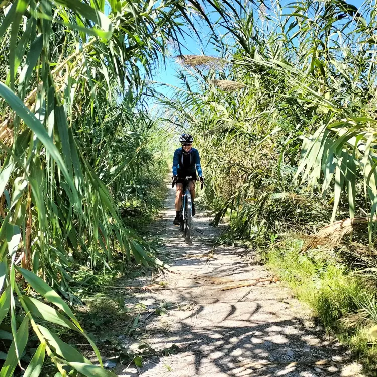 Cervia-Comacchio