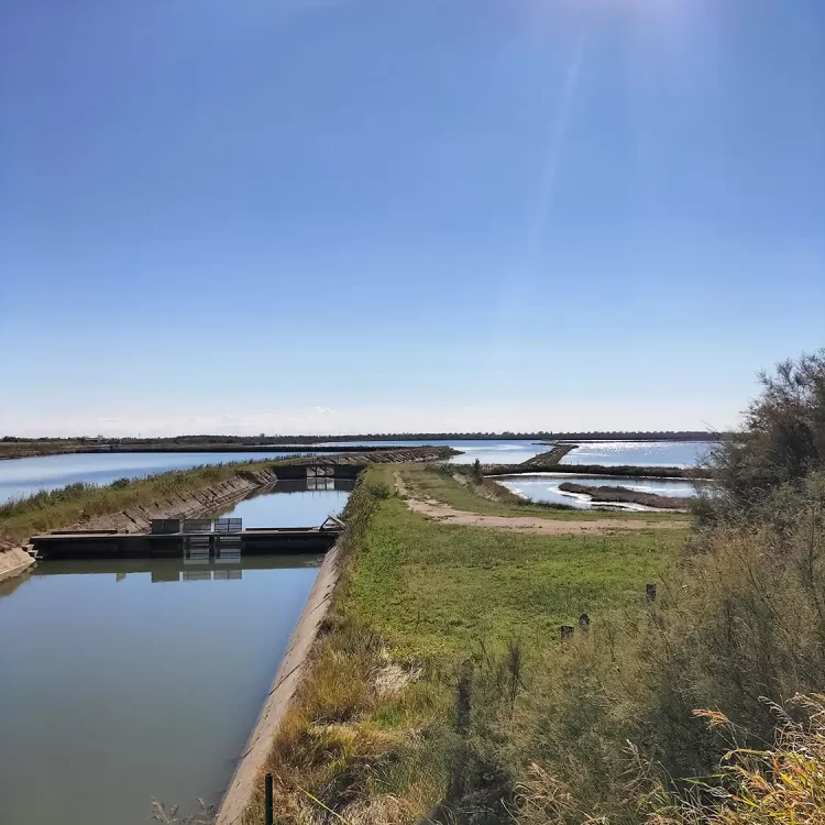 Comacchio-Chioggia