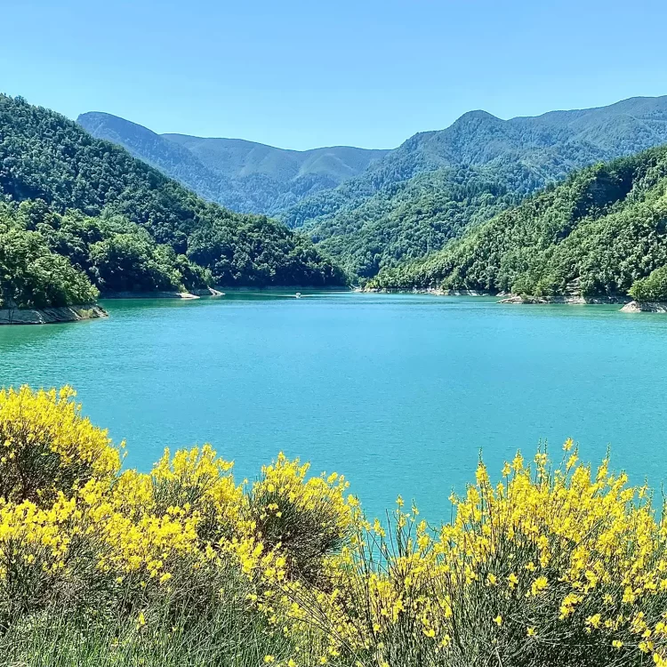 Pedalando in Paradiso