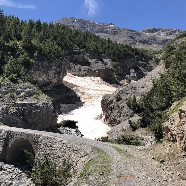 Laghi